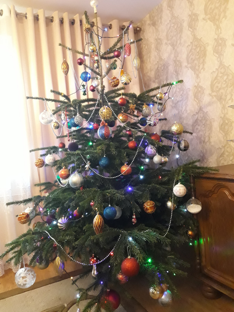 Tworzymy galerię choinek. Pochwal się swoim świątecznym drzewkiem!