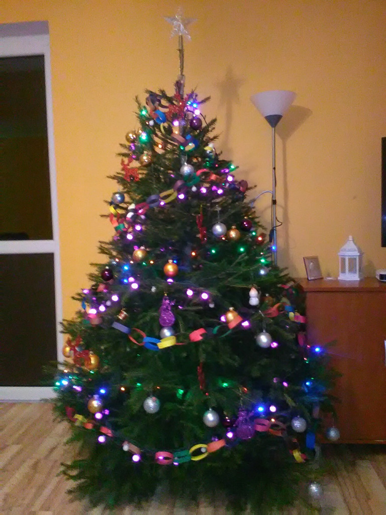 Tworzymy galerię choinek. Pochwal się swoim świątecznym drzewkiem!