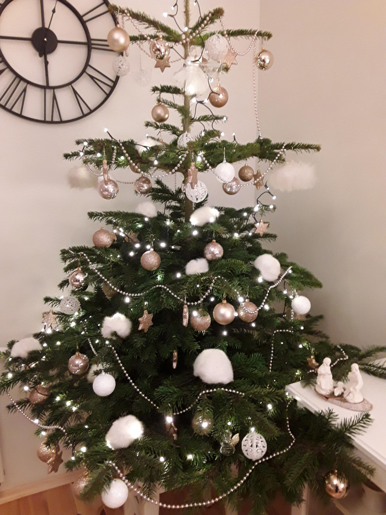 Tworzymy galerię choinek. Pochwal się swoim świątecznym drzewkiem!