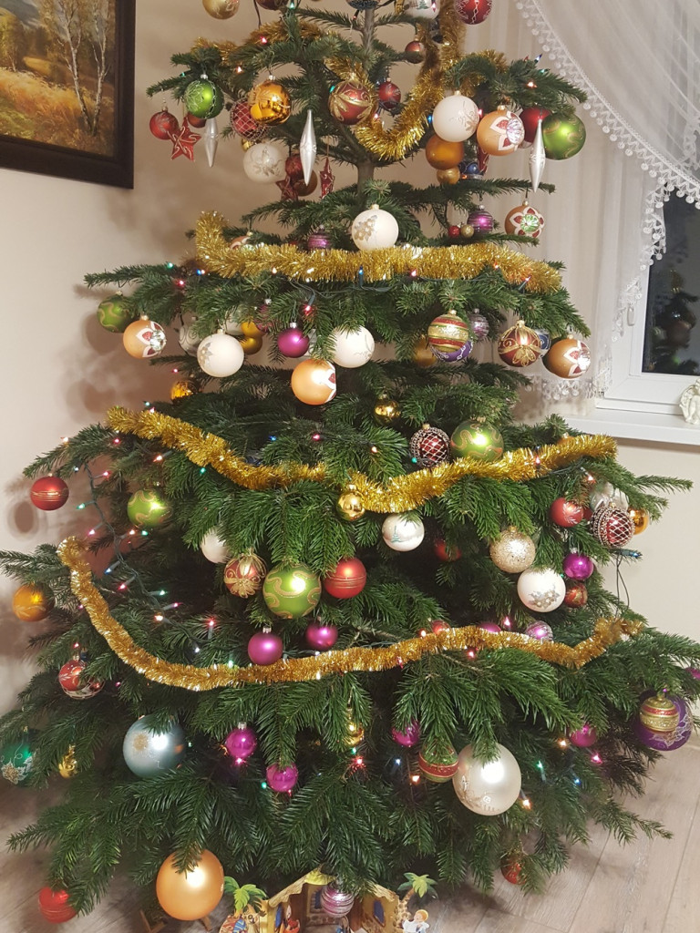 Tworzymy galerię choinek. Pochwal się swoim świątecznym drzewkiem!