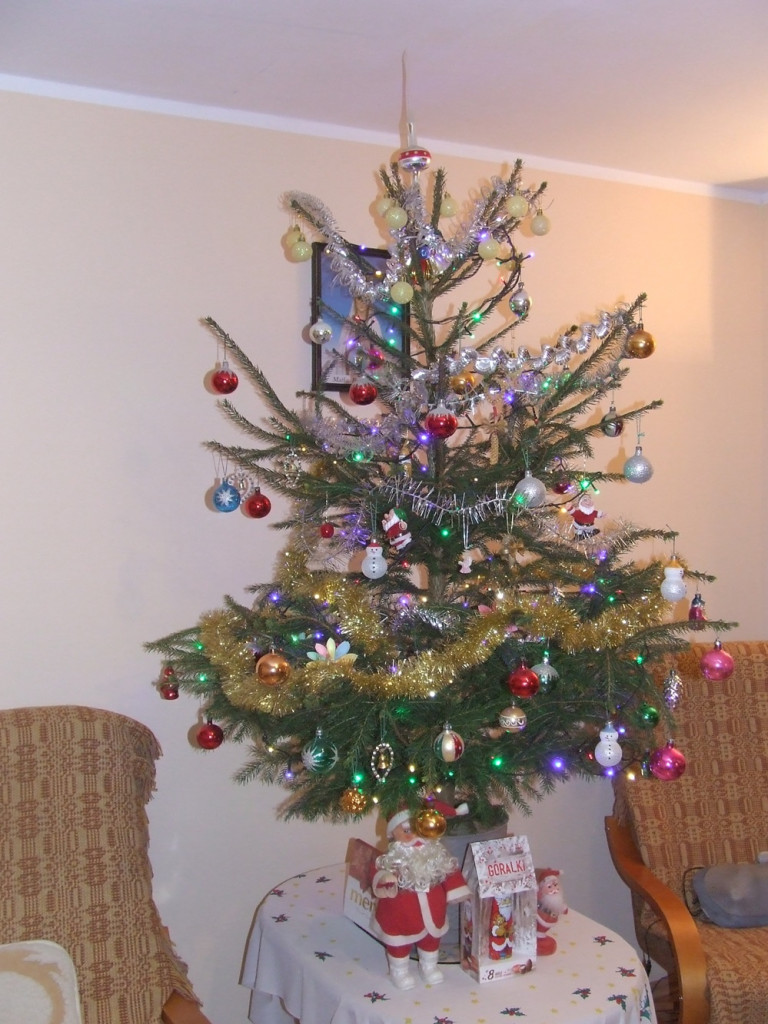 Tworzymy galerię choinek. Pochwal się swoim świątecznym drzewkiem!