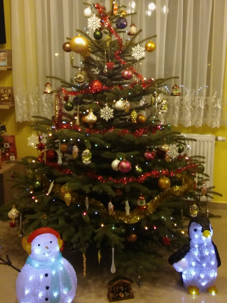 Tworzymy galerię choinek. Pochwal się swoim świątecznym drzewkiem!