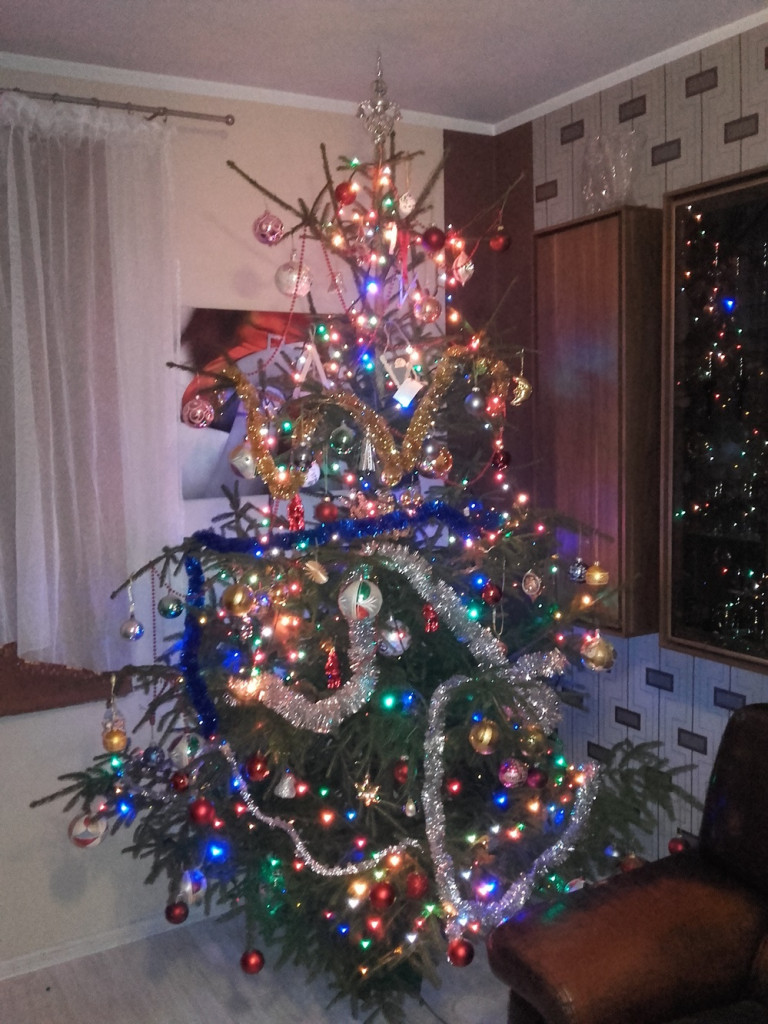 Tworzymy galerię choinek. Pochwal się swoim świątecznym drzewkiem!