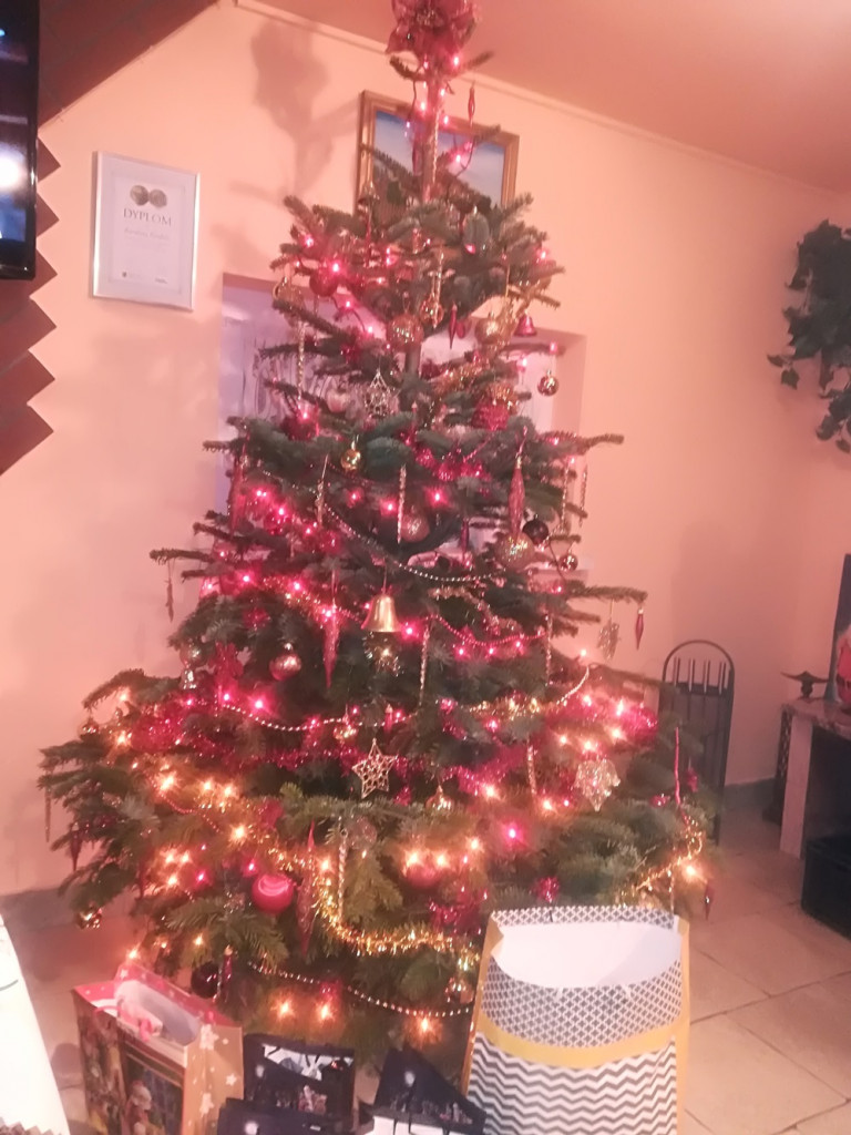 Tworzymy galerię choinek. Pochwal się swoim świątecznym drzewkiem!