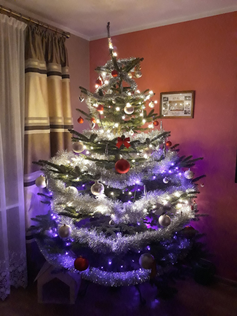 Tworzymy galerię choinek. Pochwal się swoim świątecznym drzewkiem!