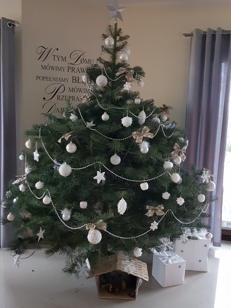 Tworzymy galerię choinek. Pochwal się swoim świątecznym drzewkiem!