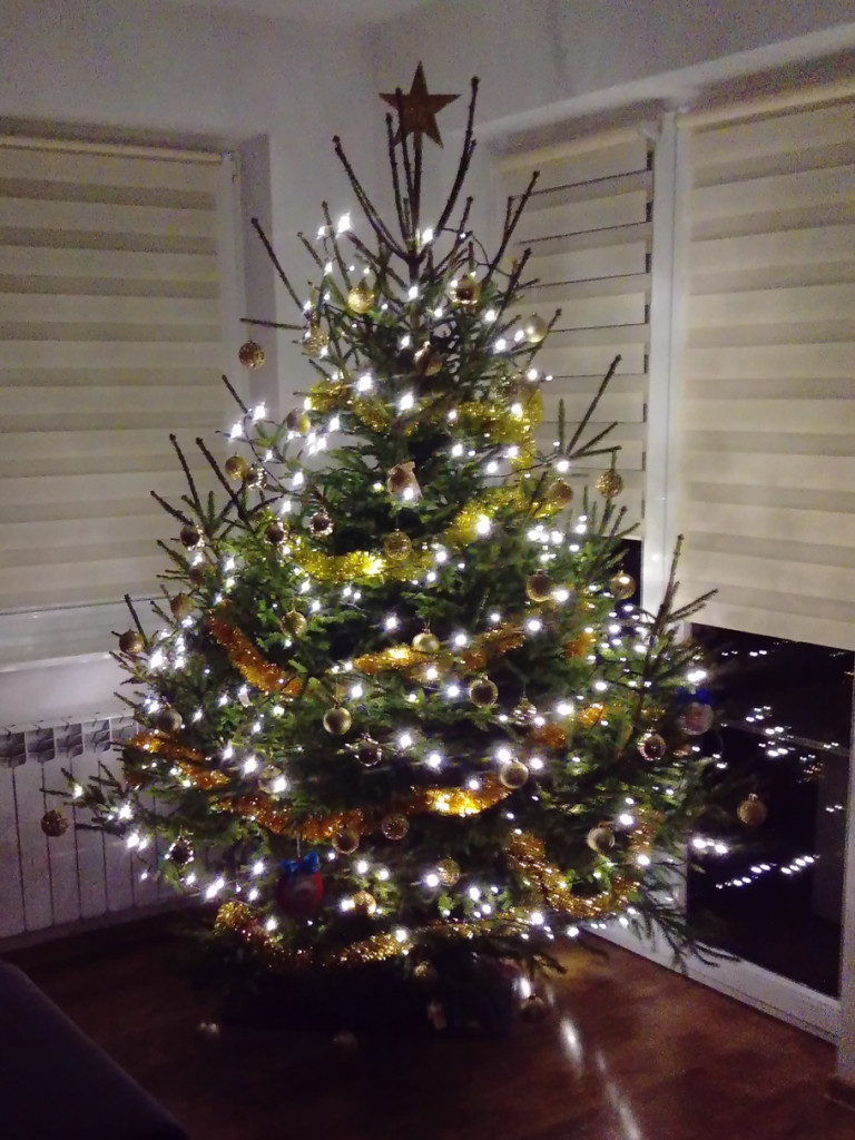 Tworzymy galerię choinek. Pochwal się swoim świątecznym drzewkiem!