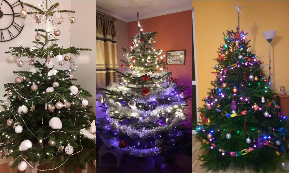 Tworzymy galerię choinek. Pochwal się swoim świątecznym drzewkiem!