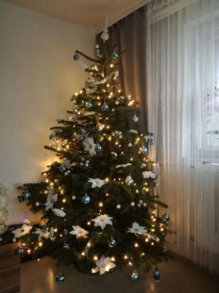 Tworzymy galerię choinek. Pochwal się swoim świątecznym drzewkiem!