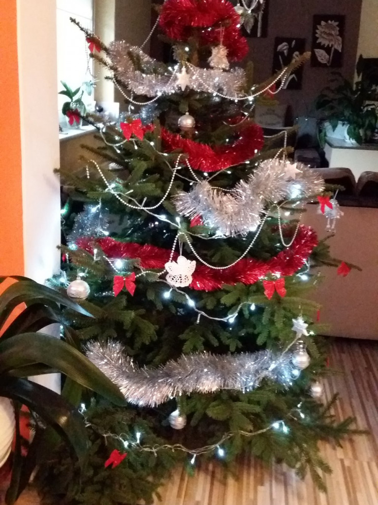 Tworzymy galerię choinek. Pochwal się swoim świątecznym drzewkiem!