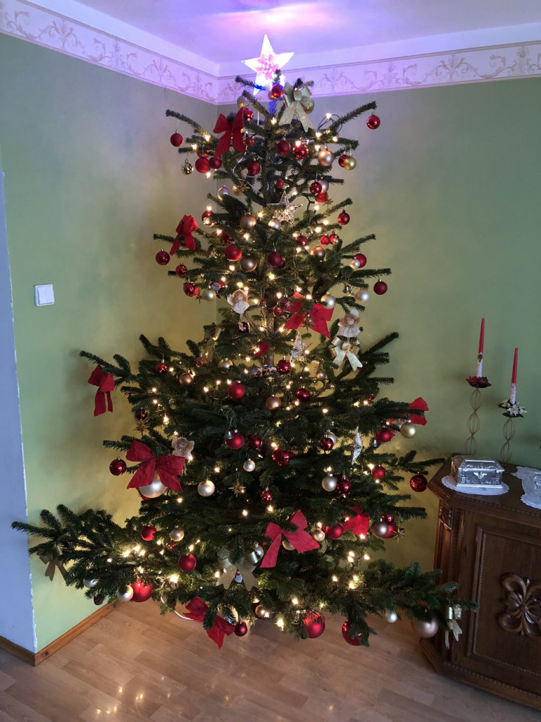 Tworzymy galerię choinek. Pochwal się swoim świątecznym drzewkiem!