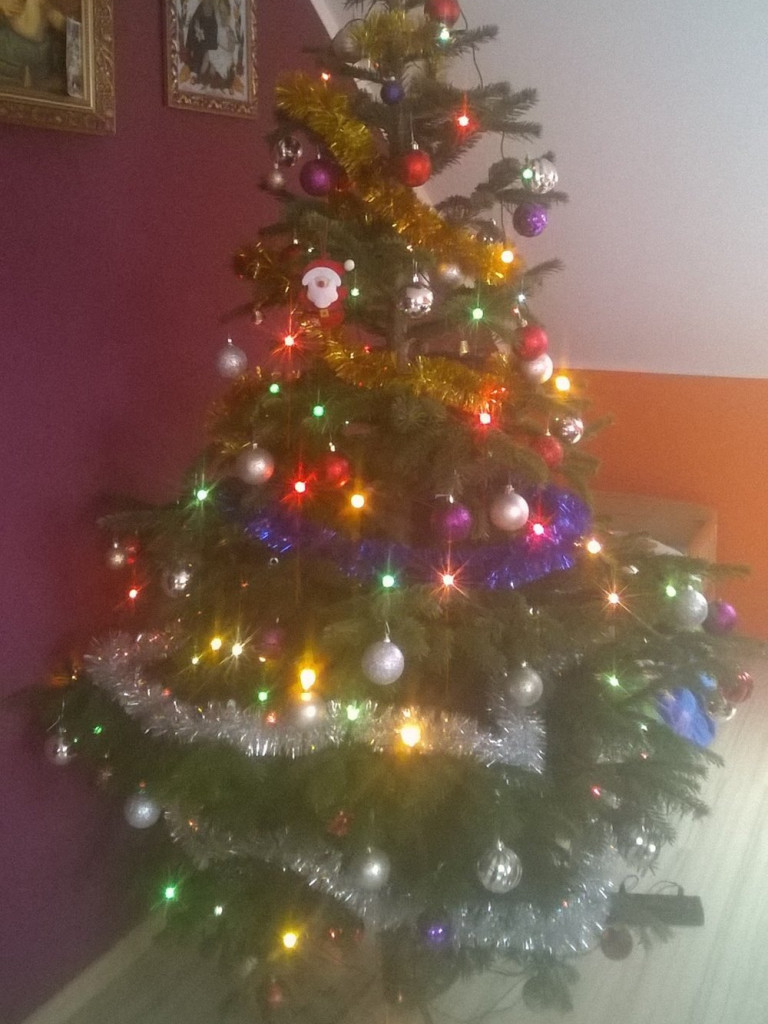 Tworzymy galerię choinek. Pochwal się swoim świątecznym drzewkiem!