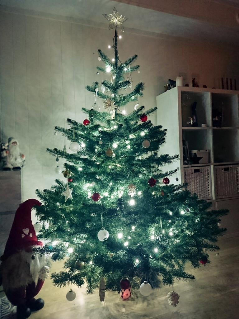 Tworzymy galerię choinek. Pochwal się swoim świątecznym drzewkiem!