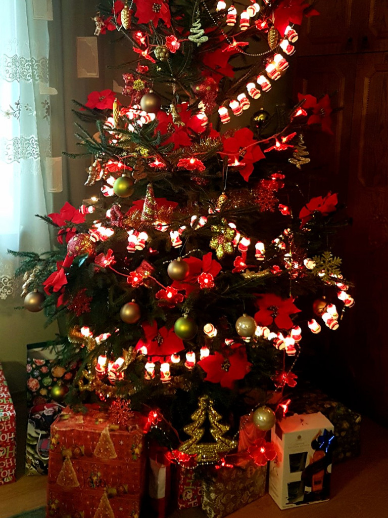 Tworzymy galerię choinek. Pochwal się swoim świątecznym drzewkiem!