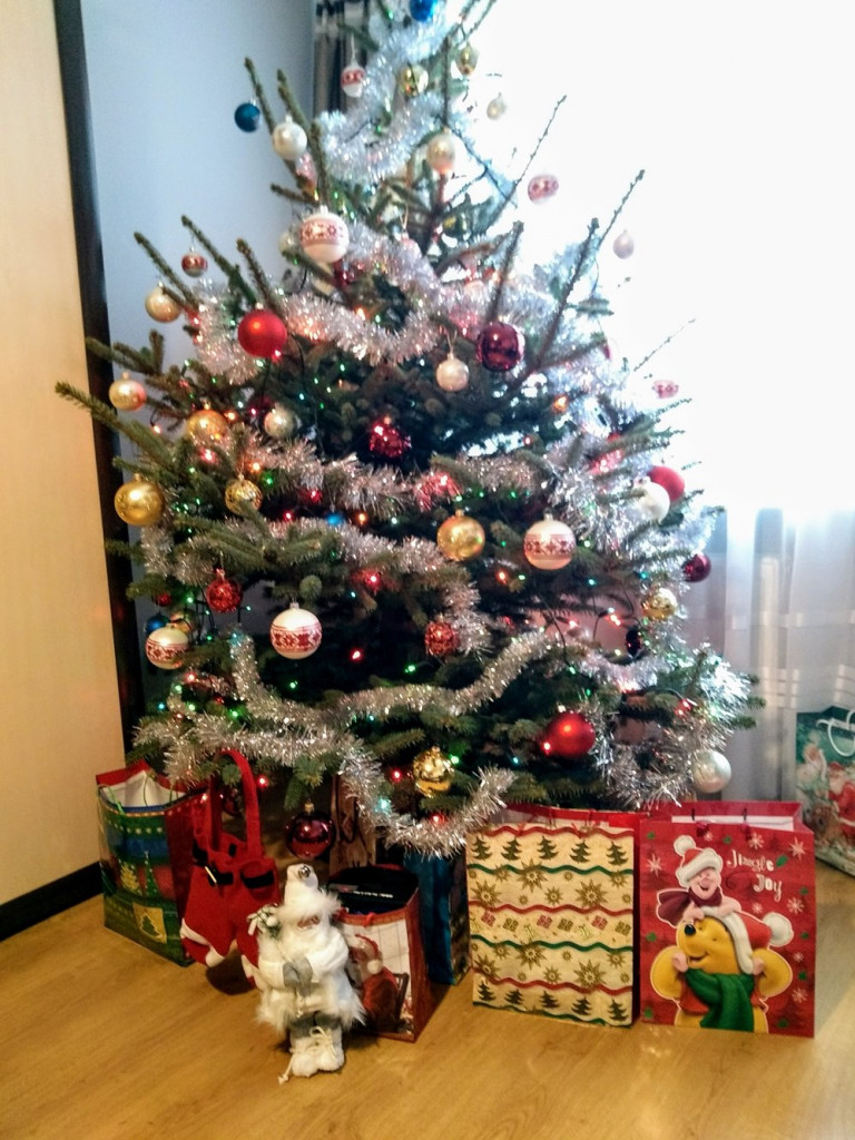 Tworzymy galerię choinek. Pochwal się swoim świątecznym drzewkiem!