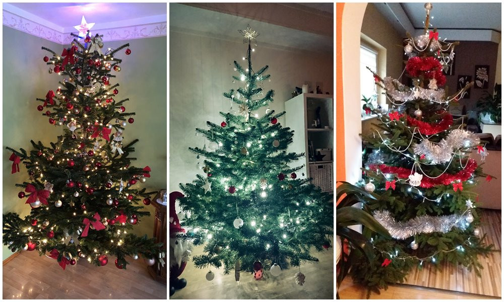 Tworzymy galerię choinek. Pochwal się swoim świątecznym drzewkiem!