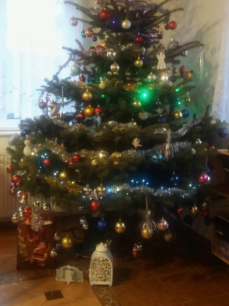 Tworzymy galerię choinek. Pochwal się swoim świątecznym drzewkiem!