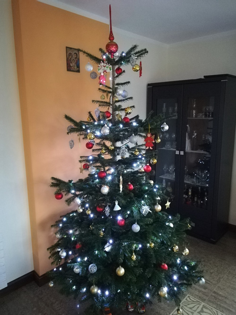 Tworzymy galerię choinek. Pochwal się swoim świątecznym drzewkiem!