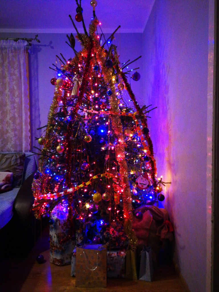 Tworzymy galerię choinek. Pochwal się swoim świątecznym drzewkiem!