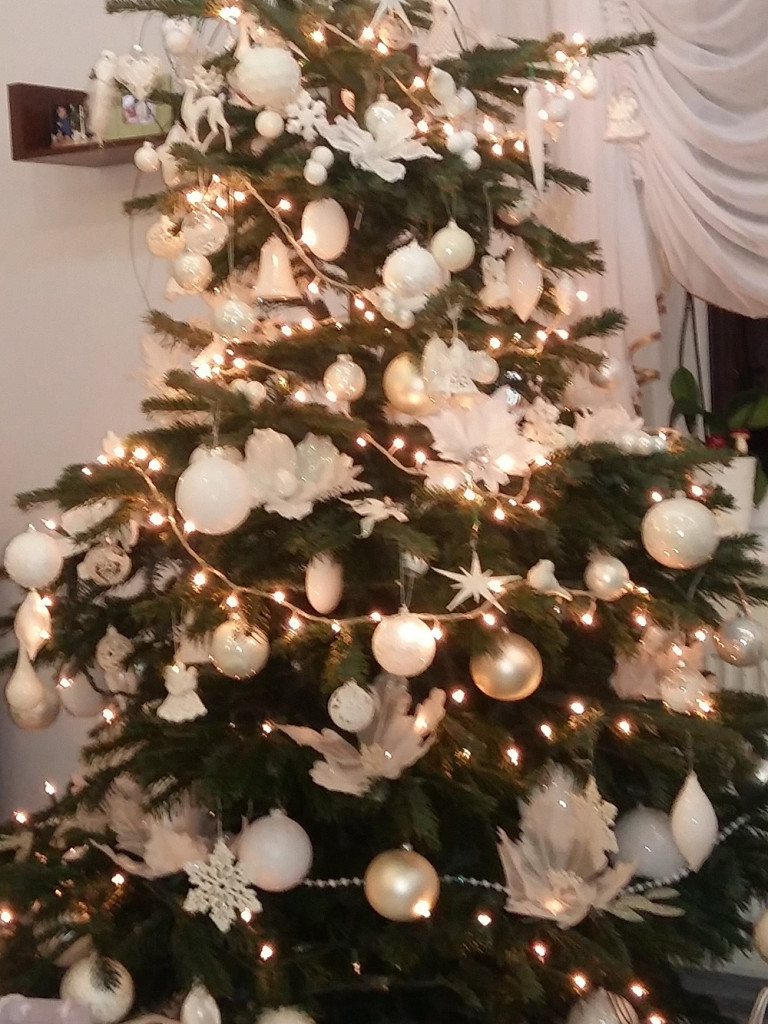 Tworzymy galerię choinek. Pochwal się swoim świątecznym drzewkiem!