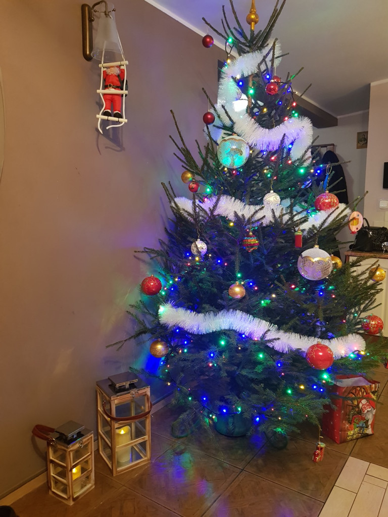 Tworzymy galerię choinek. Pochwal się swoim świątecznym drzewkiem!