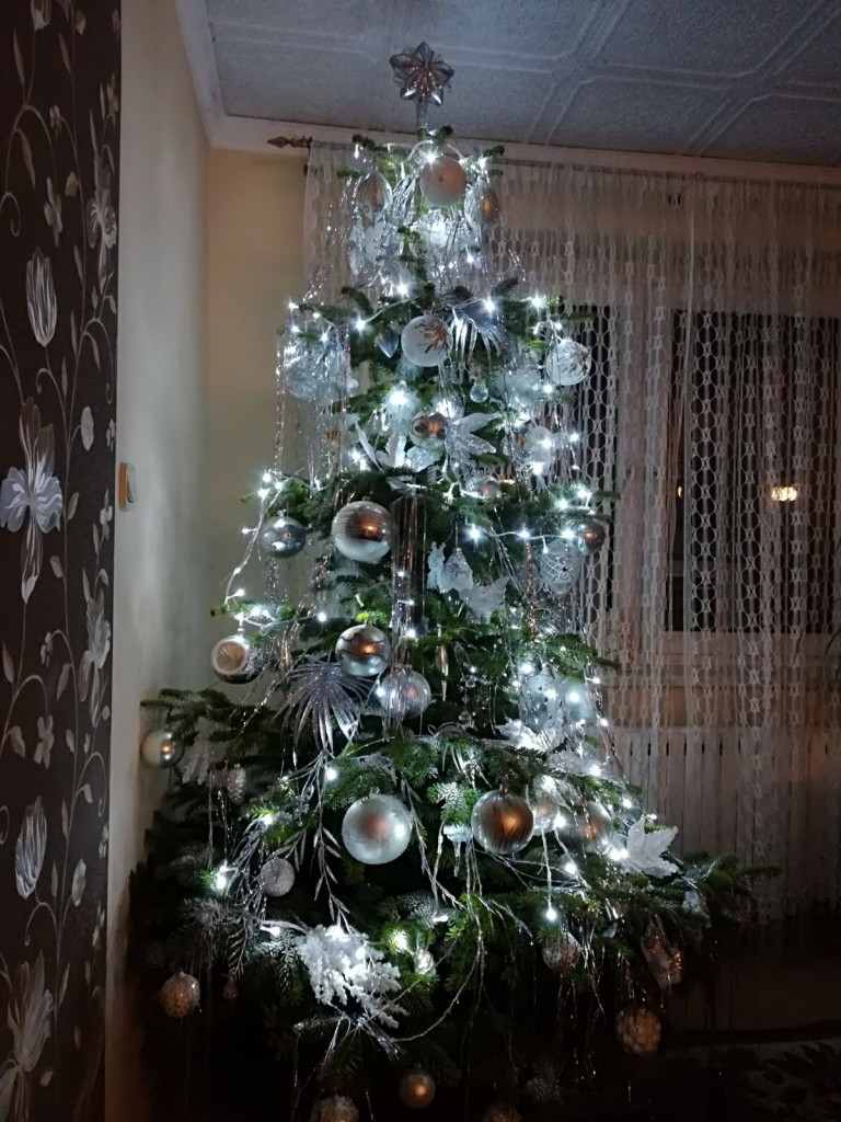 Tworzymy galerię choinek. Pochwal się swoim świątecznym drzewkiem!