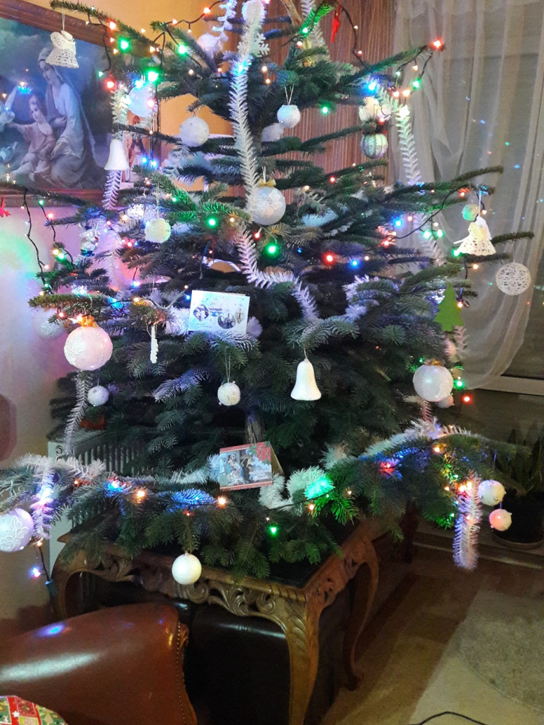 Tworzymy galerię choinek. Pochwal się swoim świątecznym drzewkiem!