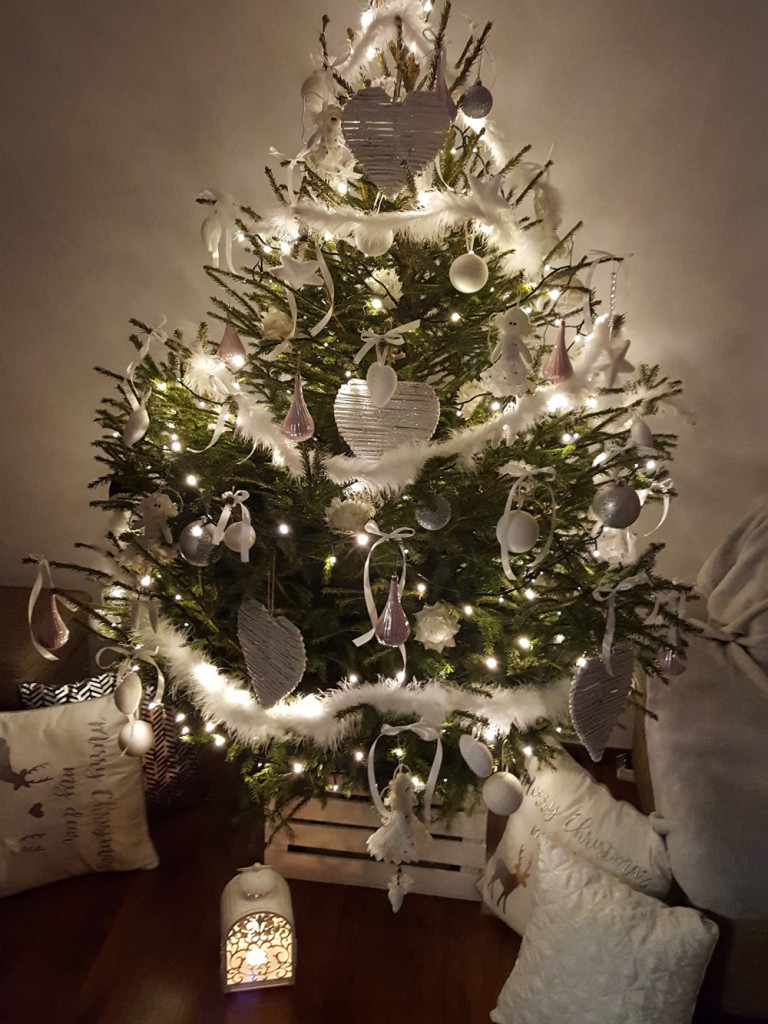 Tworzymy galerię choinek. Pochwal się swoim świątecznym drzewkiem!