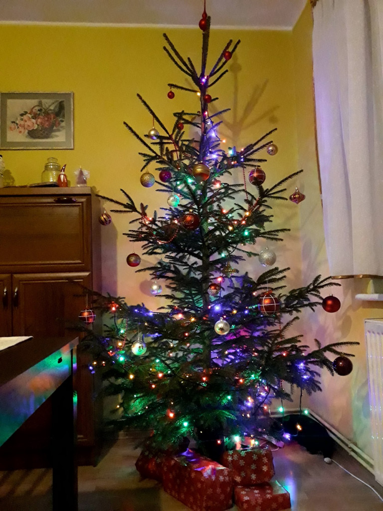 Tworzymy galerię choinek. Pochwal się swoim świątecznym drzewkiem!