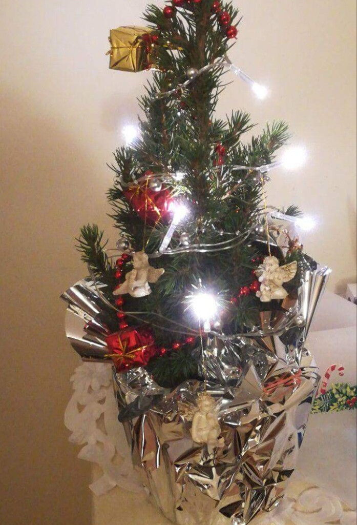 Tworzymy galerię choinek. Pochwal się swoim świątecznym drzewkiem!