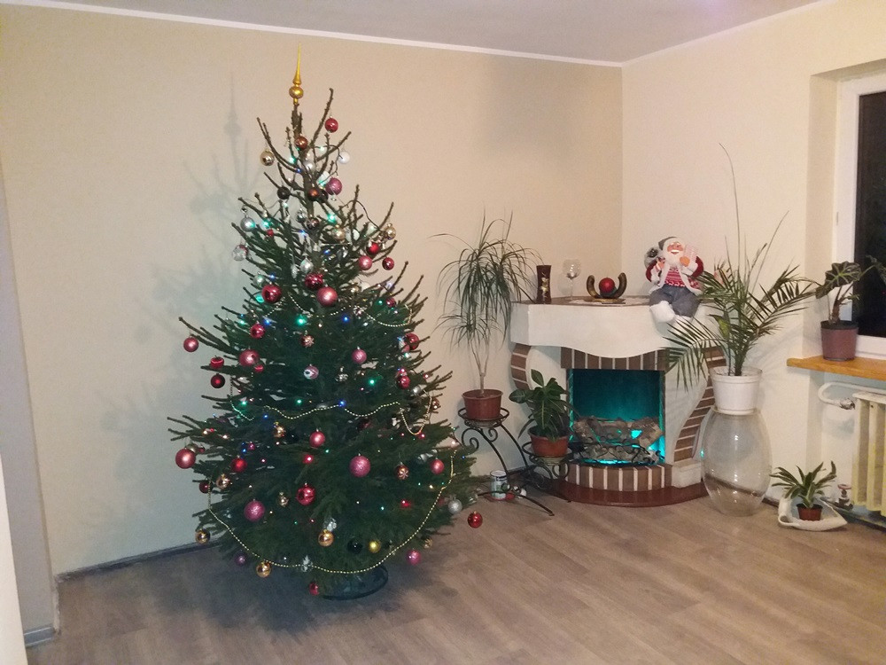 Tworzymy galerię choinek. Pochwal się swoim świątecznym drzewkiem!