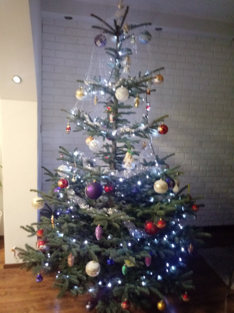 Tworzymy galerię choinek. Pochwal się swoim świątecznym drzewkiem!