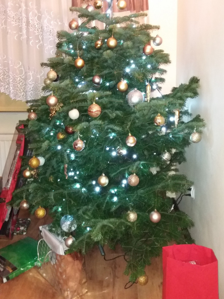 Tworzymy galerię choinek. Pochwal się swoim świątecznym drzewkiem!