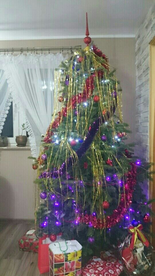 Tworzymy galerię choinek. Pochwal się swoim świątecznym drzewkiem!