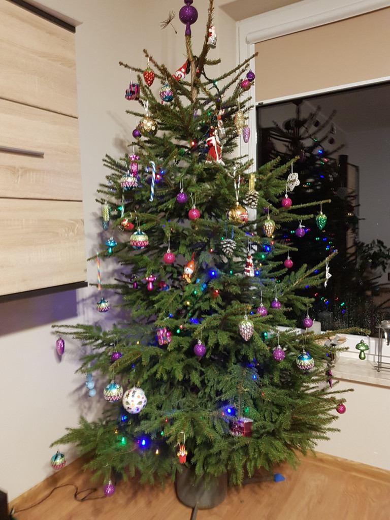 Tworzymy galerię choinek. Pochwal się swoim świątecznym drzewkiem!