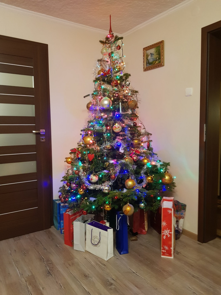 Tworzymy galerię choinek. Pochwal się swoim świątecznym drzewkiem!