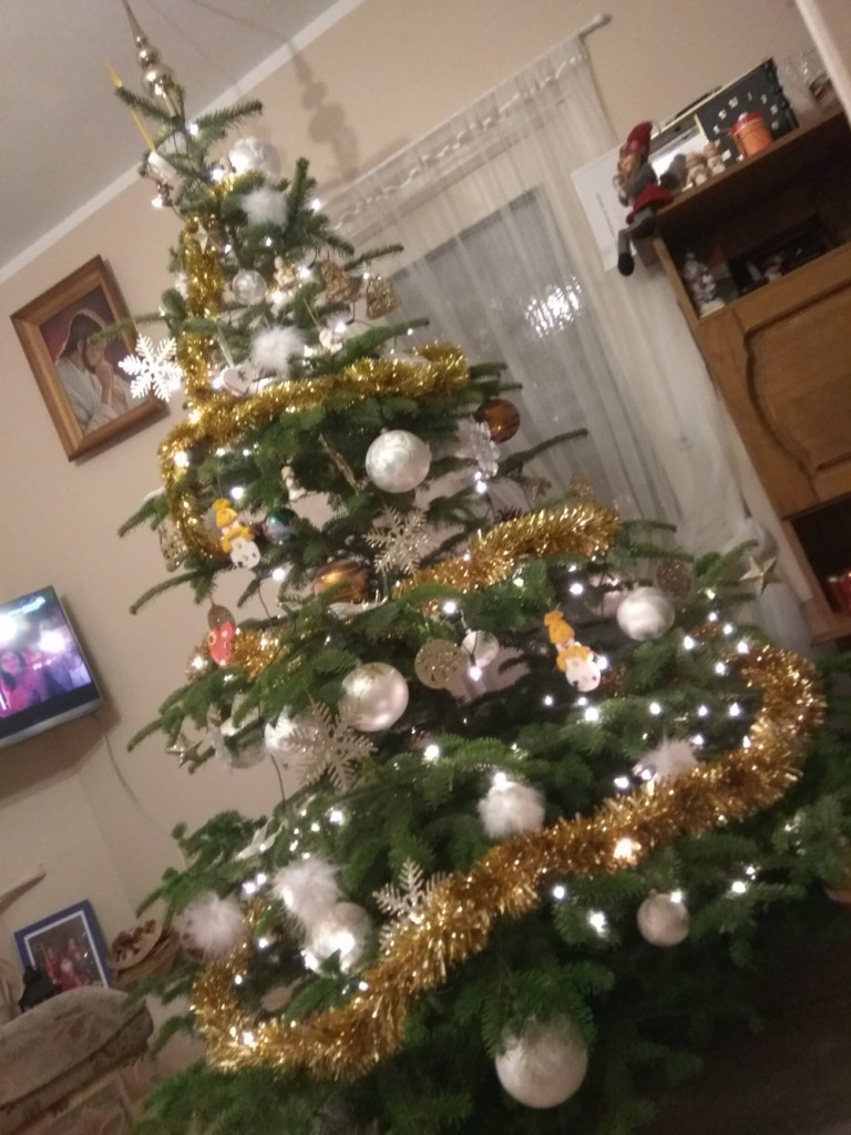 Tworzymy galerię choinek. Pochwal się swoim świątecznym drzewkiem!