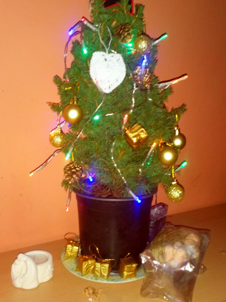 Tworzymy galerię choinek. Pochwal się swoim świątecznym drzewkiem!