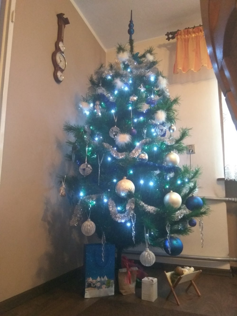 Tworzymy galerię choinek. Pochwal się swoim świątecznym drzewkiem!