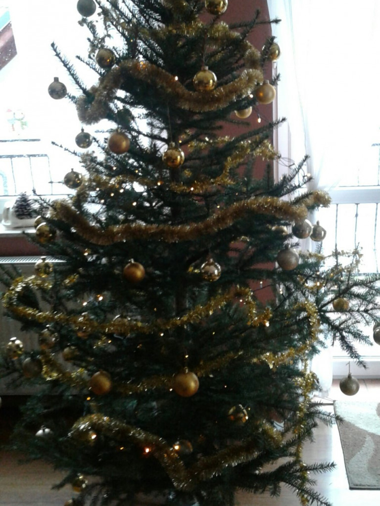 Tworzymy galerię choinek. Pochwal się swoim świątecznym drzewkiem!