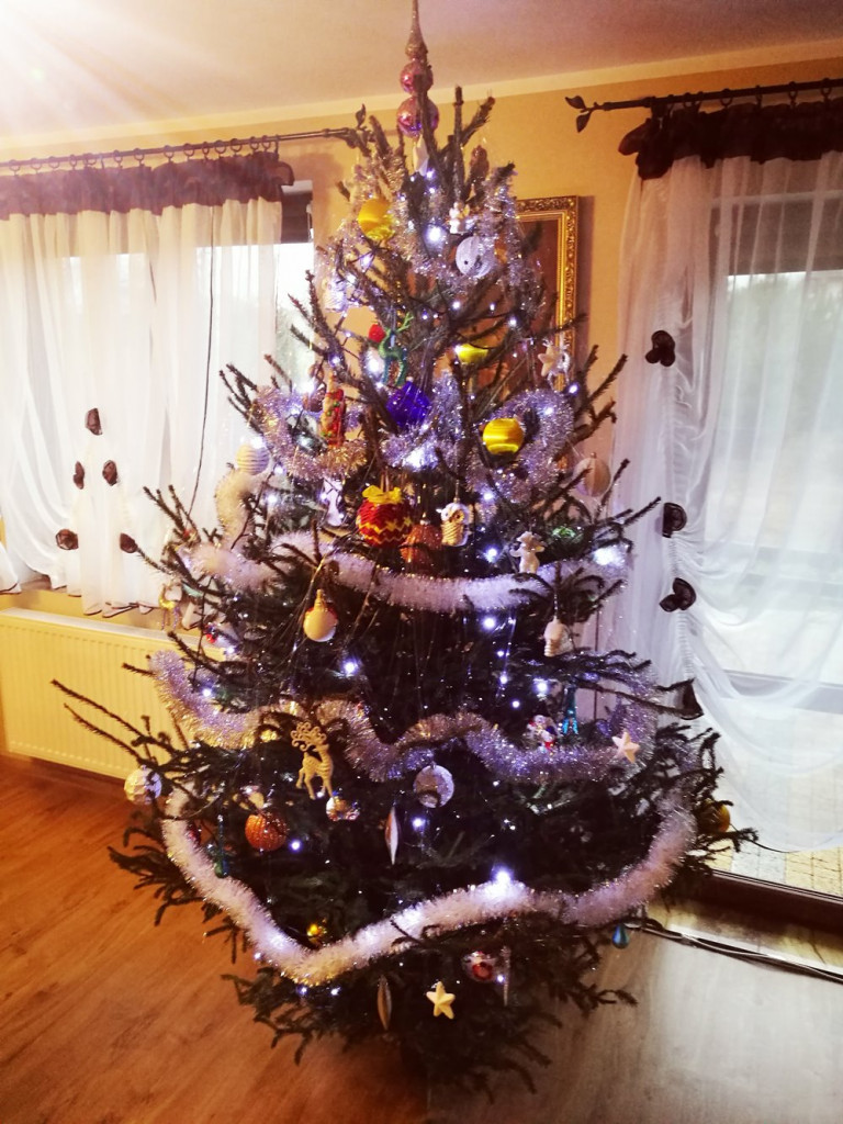 Tworzymy galerię choinek. Pochwal się swoim świątecznym drzewkiem!