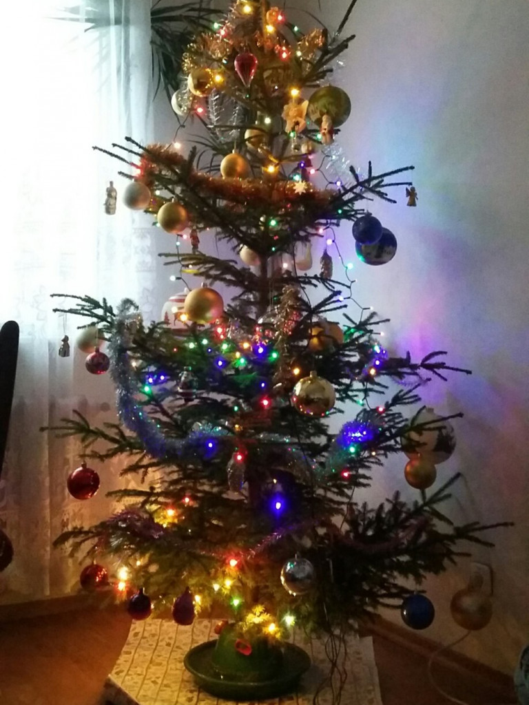 Tworzymy galerię choinek. Pochwal się swoim świątecznym drzewkiem!