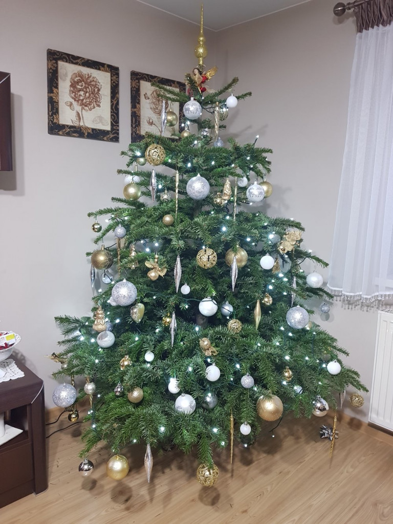 Tworzymy galerię choinek. Pochwal się swoim świątecznym drzewkiem!