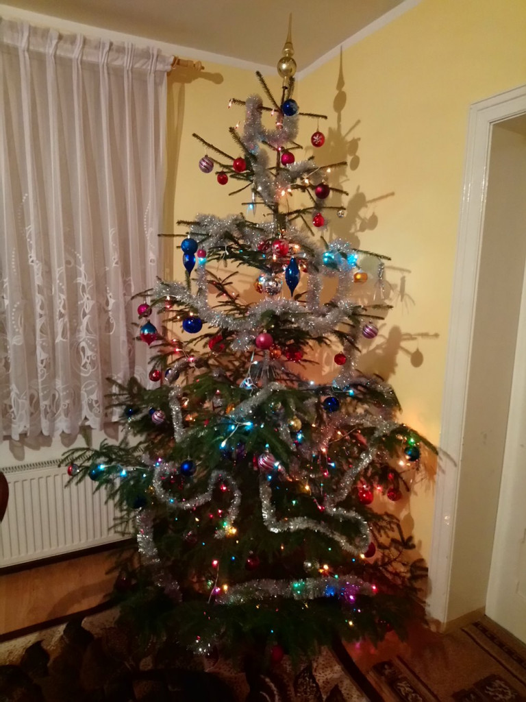 Tworzymy galerię choinek. Pochwal się swoim świątecznym drzewkiem!