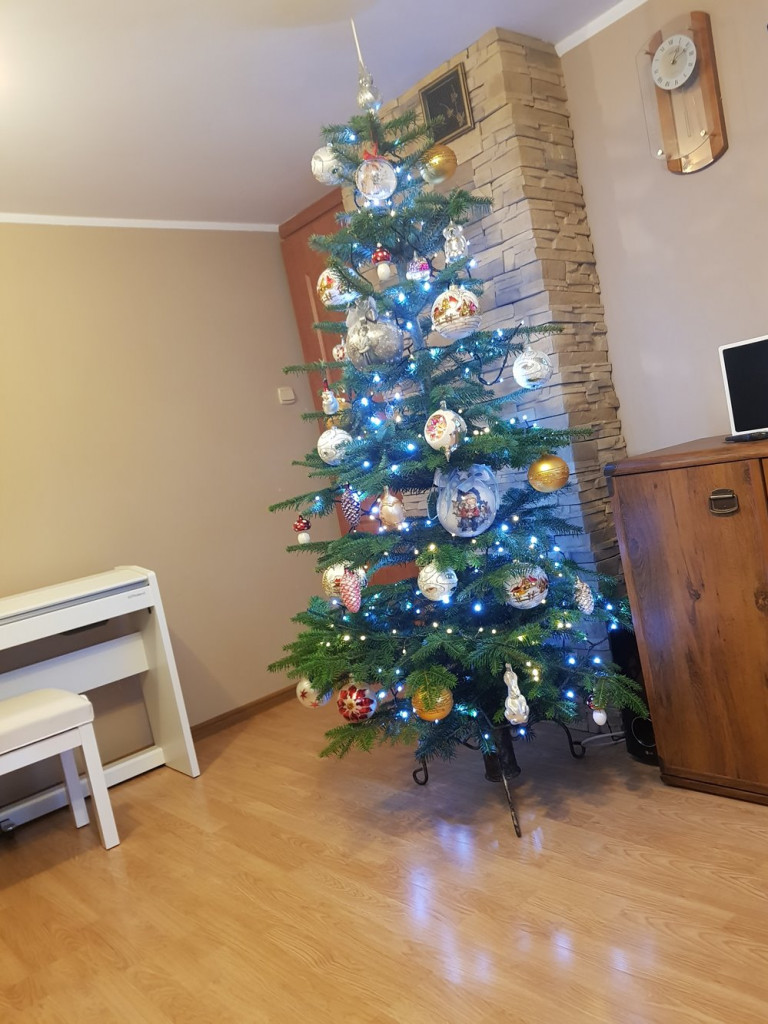 Tworzymy galerię choinek. Pochwal się swoim świątecznym drzewkiem!