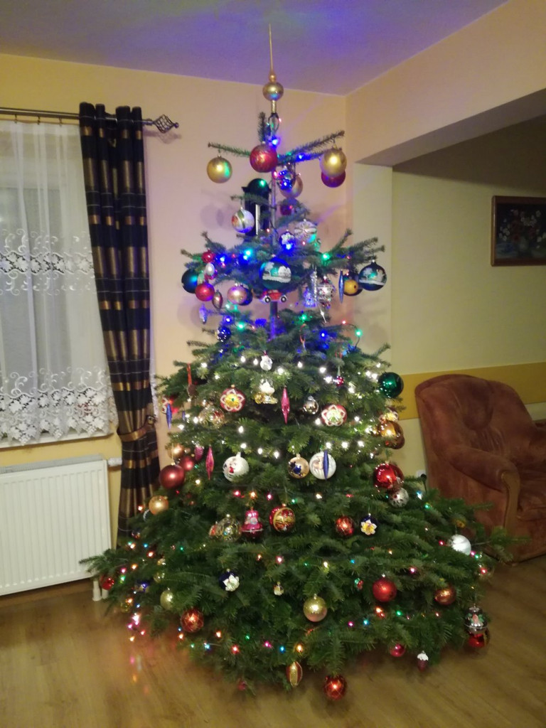 Tworzymy galerię choinek. Pochwal się swoim świątecznym drzewkiem!