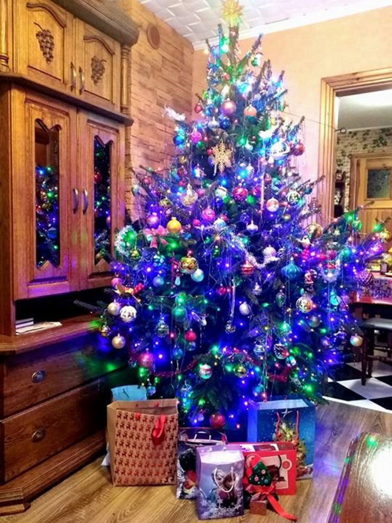 Tworzymy galerię choinek. Pochwal się swoim świątecznym drzewkiem!