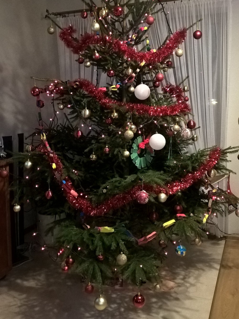 Tworzymy galerię choinek. Pochwal się swoim świątecznym drzewkiem!