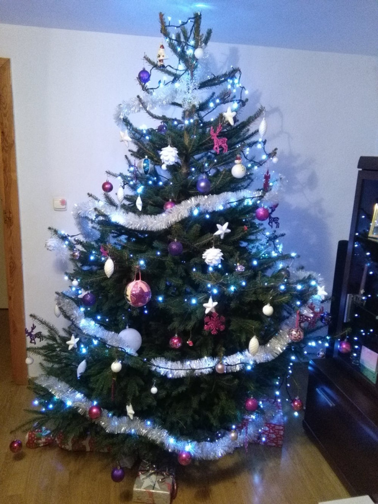 Tworzymy galerię choinek. Pochwal się swoim świątecznym drzewkiem!