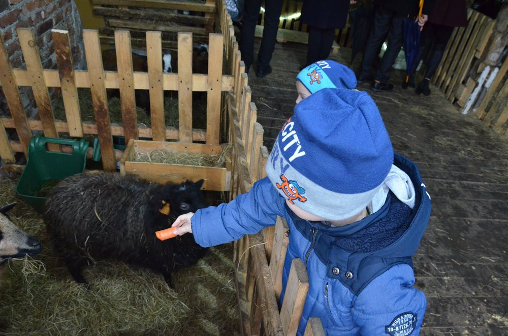 Żywa szopka w Mirachowie i tradycyjne szopki w kościołach